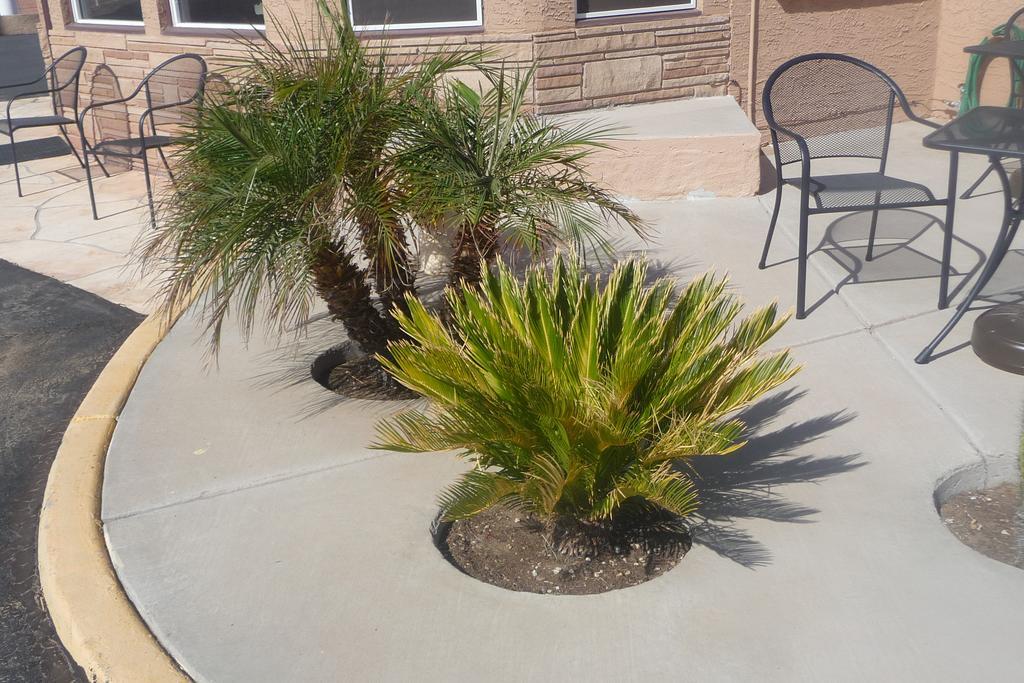 Palms Inn Gila Bend Exteriör bild